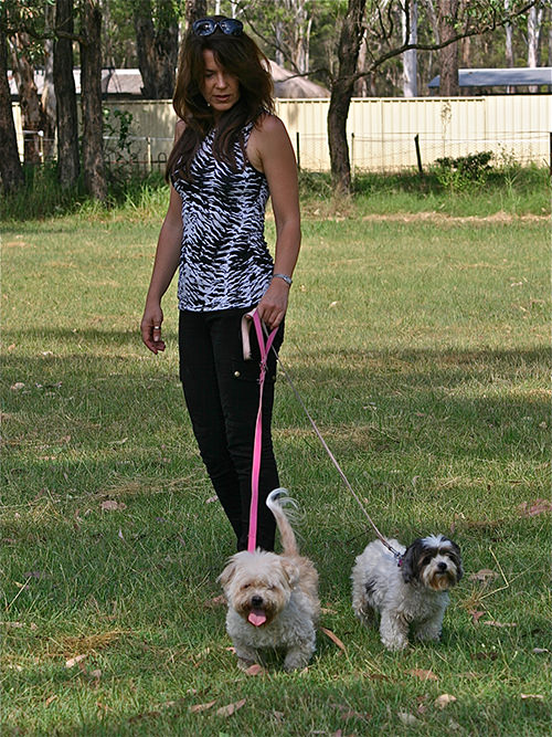 Personal Dog Trainer Puppy & Dog Training Sydney K9 Trainer