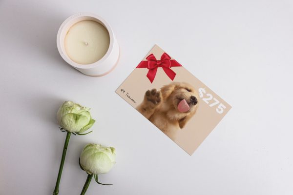 Puppy School Gift Voucher