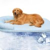 Cooling Dog Mat Memory Foam Bed