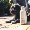 3-in-1 Portable Dog Water Bottle with 2 Detachable Bowls - Image 2